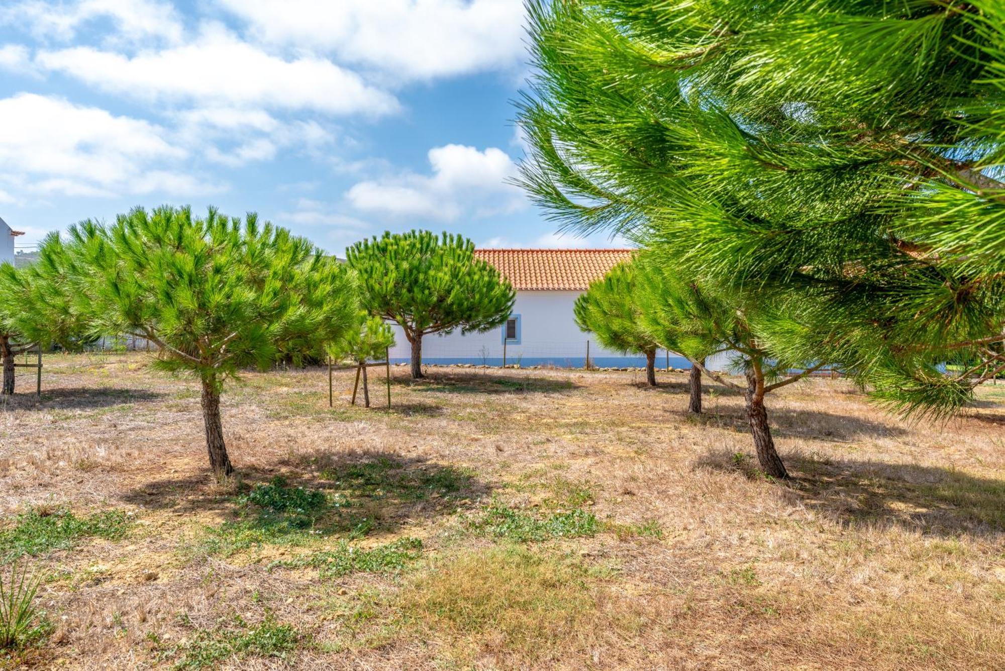 Quinta Da Bela Vista - Ericeira Villa Galiza Eksteriør billede